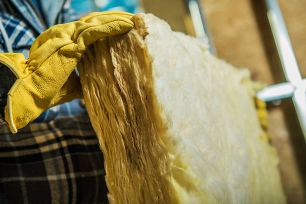 Best Cellulose Insulation in Vandalia, IL