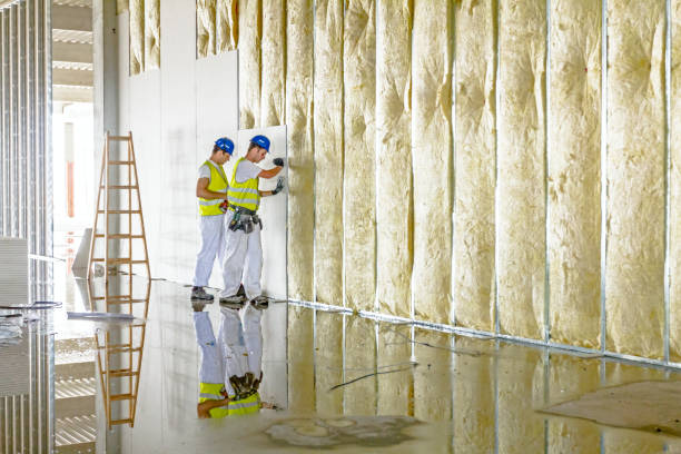 Best Spray Foam Insulation in Vandalia, IL